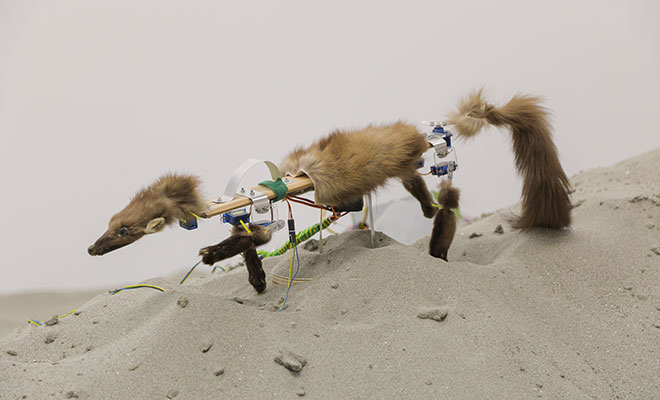 Artist Vuk Cuk Brings Los Angeles to Eugster II Belgrade