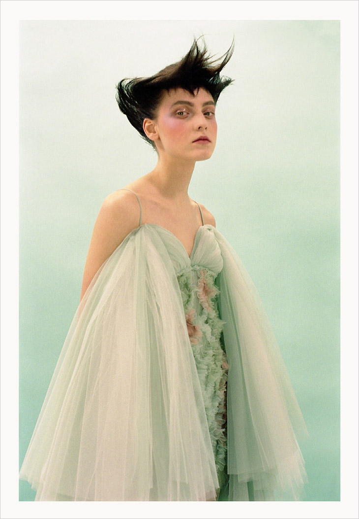 Flavia Daniele