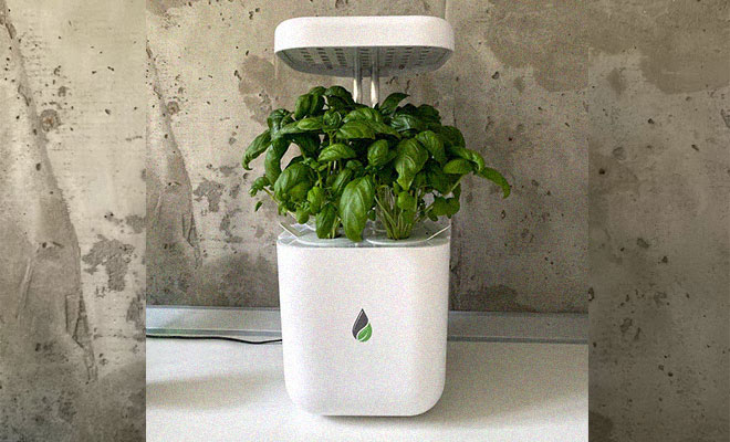 We Tested UrbiGo Smart Garden and Here Are the Results