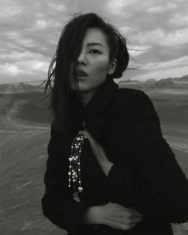 Liu Wen