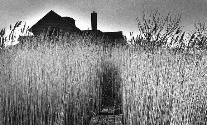 Saint Laurent Rive Droite Hosts the Exhibition by Jeanloup Sieff