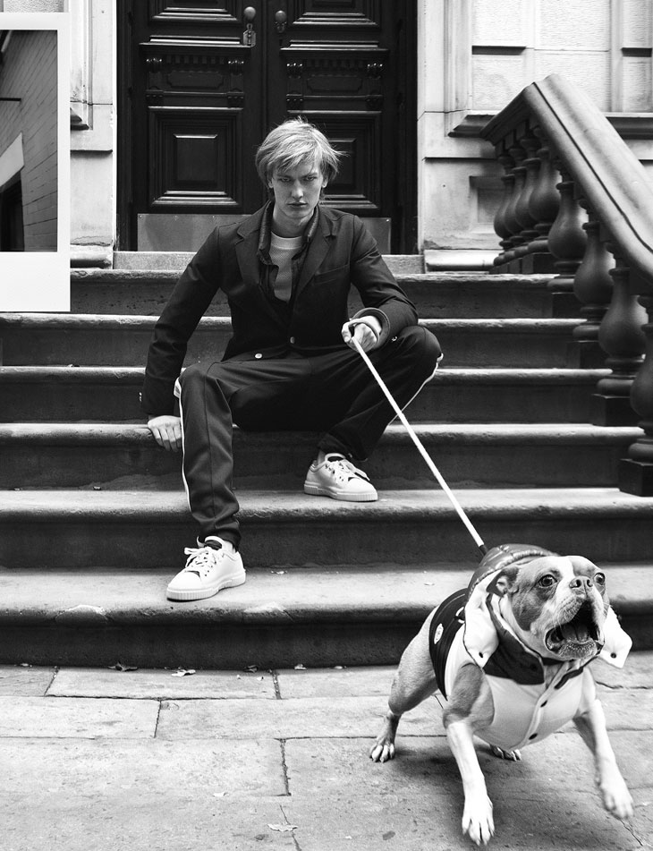 dog coat moncler