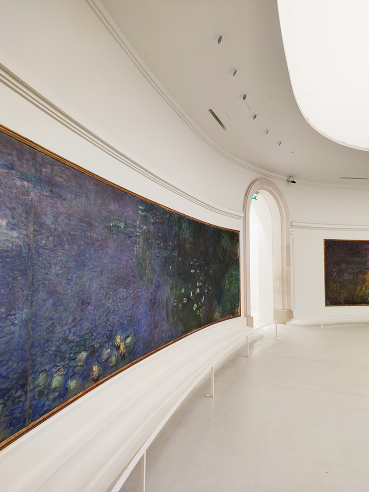 Monet Water Lilies Lorangerie