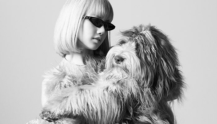 CELINE Dog Accessories