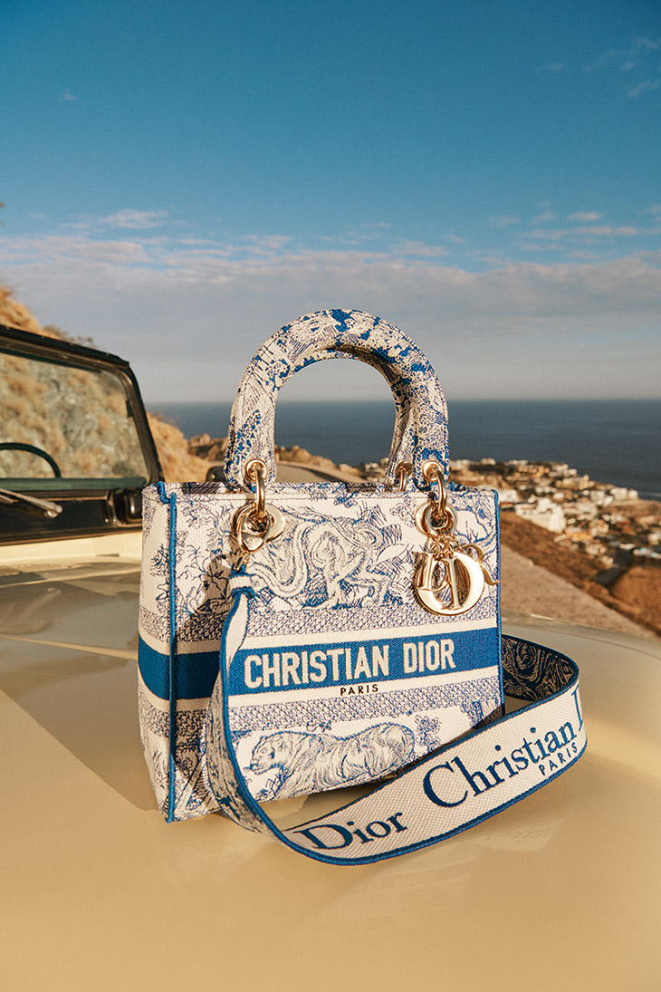 Discover the futuristic handbag from Dior for 2022