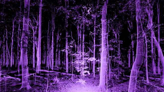 PRADA FRAMES: A Symposium Curated by Formafantasma