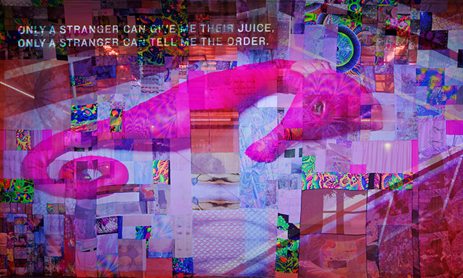 DSCENE Exclusive Interview With Artist MIMOSA ECHARD