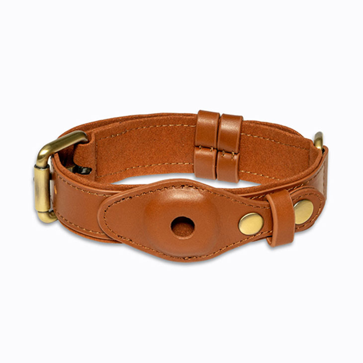dogily airtag