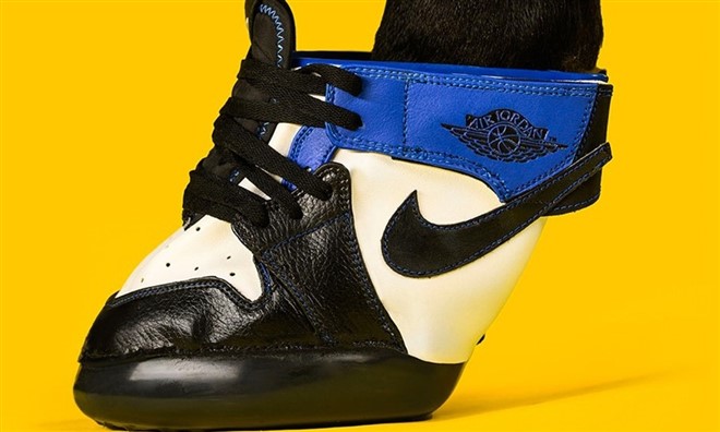 Horses are the New Sneakerheads