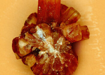 The Most Unique and Luxurious Engagement Ring Gemstones