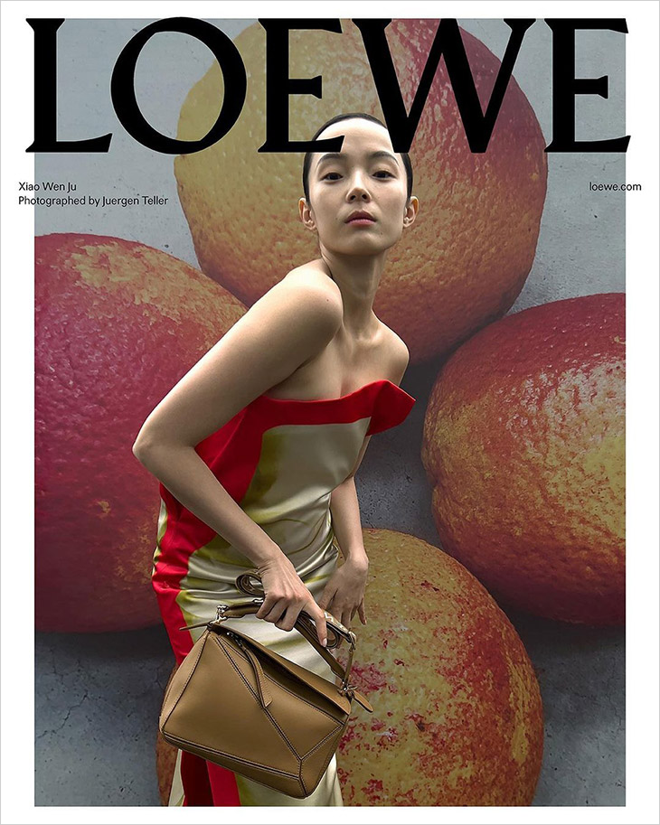 Koleksi Loewe Pre-Fall 2023: Gaya Rapi & Detail Berani | LAVERGNE