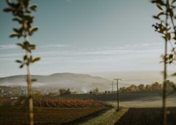 Sustainable Farming Practices: Ideas and Strategies