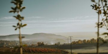 Sustainable Farming Practices: Ideas and Strategies