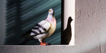 And Just Like That Carrie Bradshaw Swaps Clutch for Pigeon