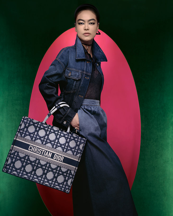DIOR Fall