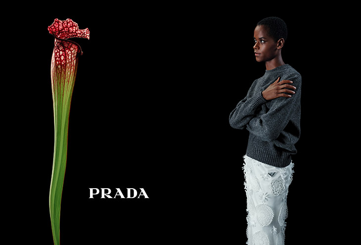 In Conversation with a Flower: Prada Fall Winter 2023 Collection