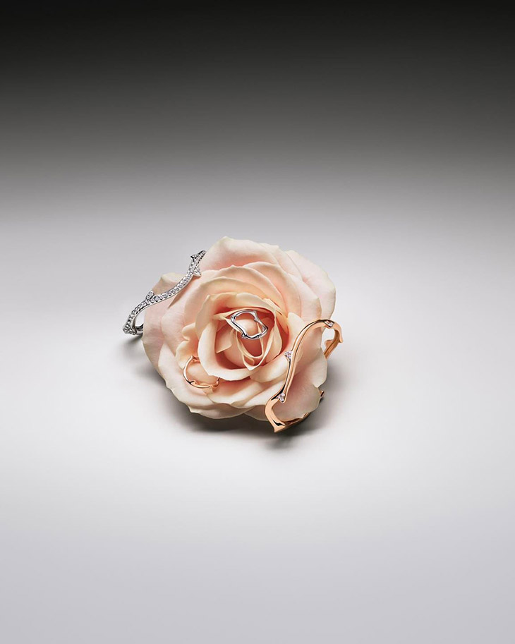 La Rose Dior