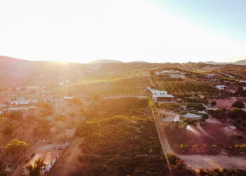 Discovering the Ultimate Retreat: Your Perfect Stay in Valle de Guadalupe