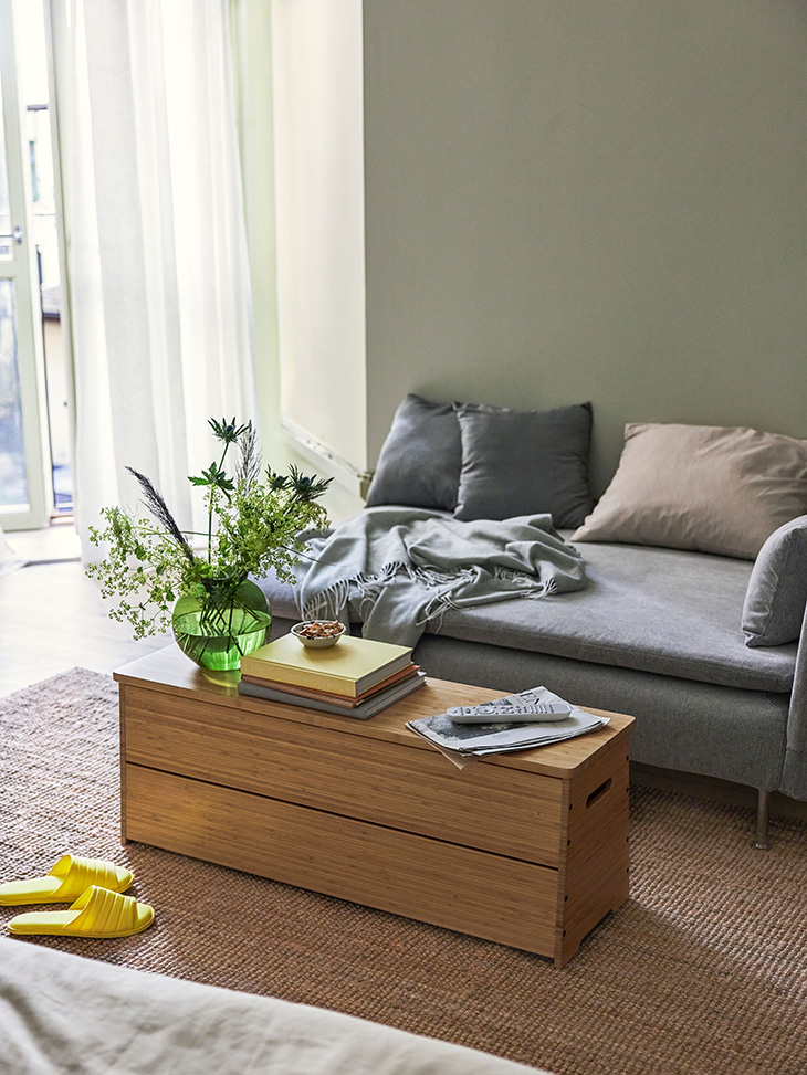 IKEA Home Training