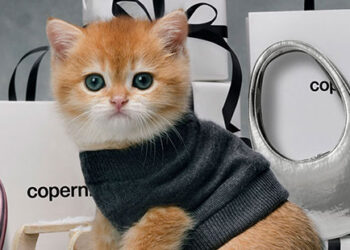 Coperni’s Holiday Campaign Melds High Fashion with Furry Charm
