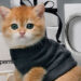 fashion in our lives essay Coperni’s Holiday Campaign Melds High Fashion with Furry Charm