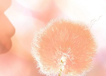 Pantone Introduces Peach Fuzz as 2024’s Color of the Year