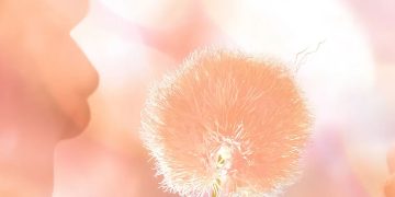 Pantone Introduces Peach Fuzz as 2024’s Color of the Year