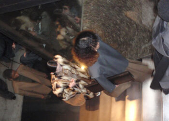 Backstage Moments at Calcaterra Fall Winter 24 Show