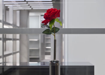 Balenciaga Presents Art Collaboration with Andrew J. Greene