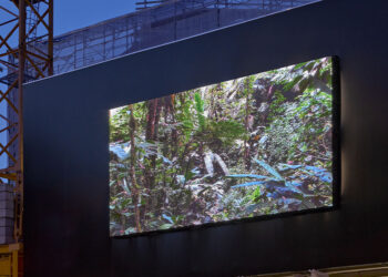 “Calls for Action” by Artist Julian Charrière at Globus in Basel