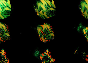 DSCENE Interview: Xiaodong Ma’s Unique Perspective on Hybrid Art