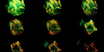 DSCENE Interview: Xiaodong Ma’s Unique Perspective on Hybrid Art