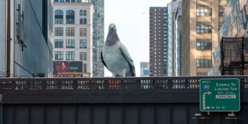Iván Argote’s Massive Pigeon Sculpture Lands on the High Line