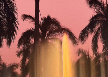 Palm Angels Celebrates 10 Years with Decoding Palm Culture