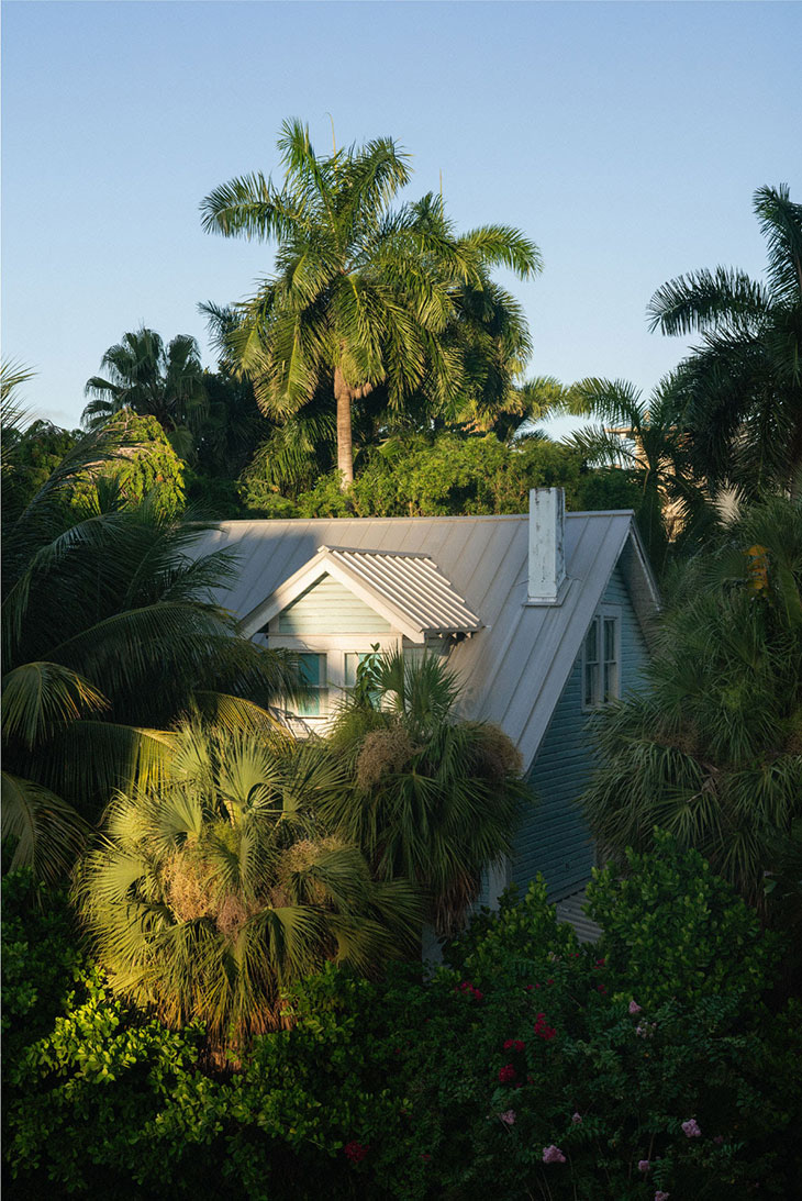 ALCOVA Miami 2024 ALCOVA Miami 2024