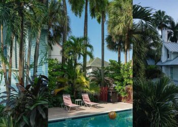 Alcova Returns to Miami with Over 40 Exhibitors