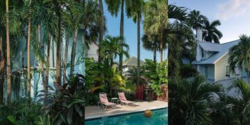 Alcova Returns to Miami with Over 40 Exhibitors