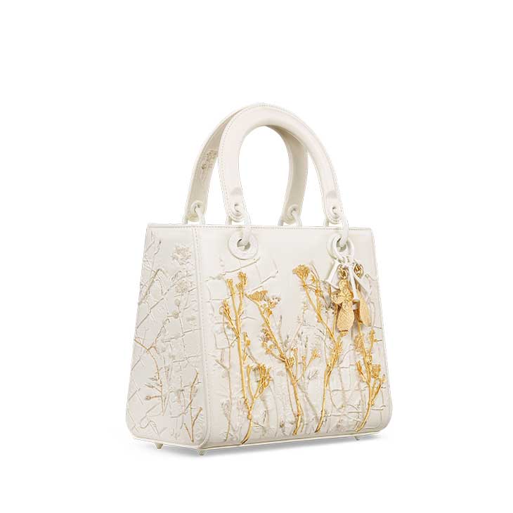 Lady Dior Art