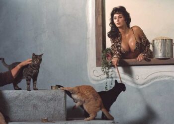 SKIMS x Dolce & Gabbana Drop Is Here