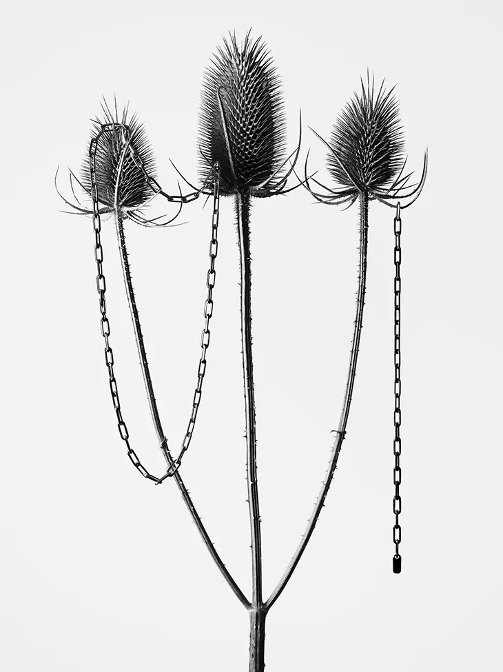 TOTEME Sculptural Jewelry