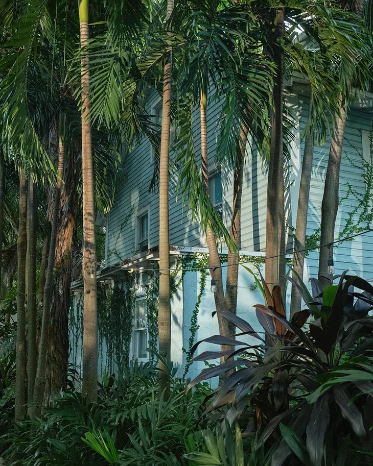 Alcova Miami