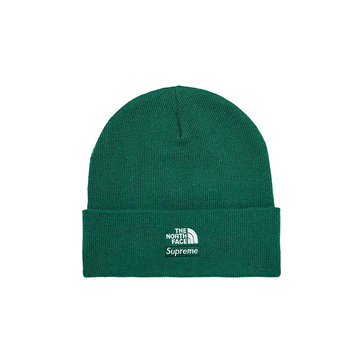 Supreme x The North Face