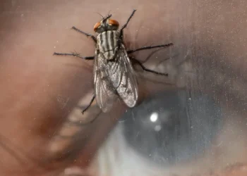 Exploring Inner Turmoil Through Art with Mario Dante Napoli