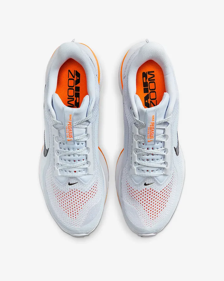 Nike Pegasus Premium