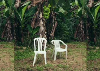 Bad Bunny’s Latest Album is a Love Letter to Puerto Rico