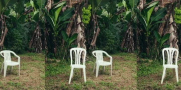 Bad Bunny’s Latest Album is a Love Letter to Puerto Rico