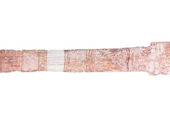 LOEWE Announces 2025 Craft Prize Finalists