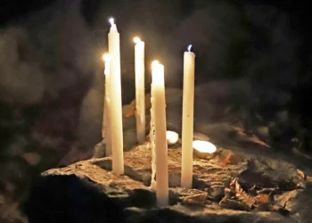 Blood, Shadows and Fear: The Story of Sava Savanovic