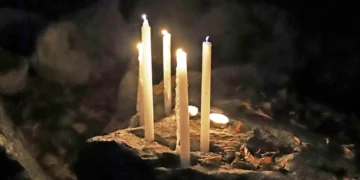 Blood, Shadows and Fear: The Story of Sava Savanovic