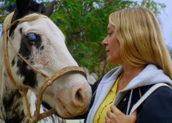 MUBI Releases ‘Magic Farm’ Starring Chloe Sevigny